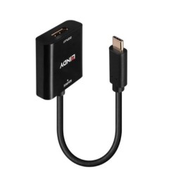 USB Type C to DisplayPort 4K144 Converter