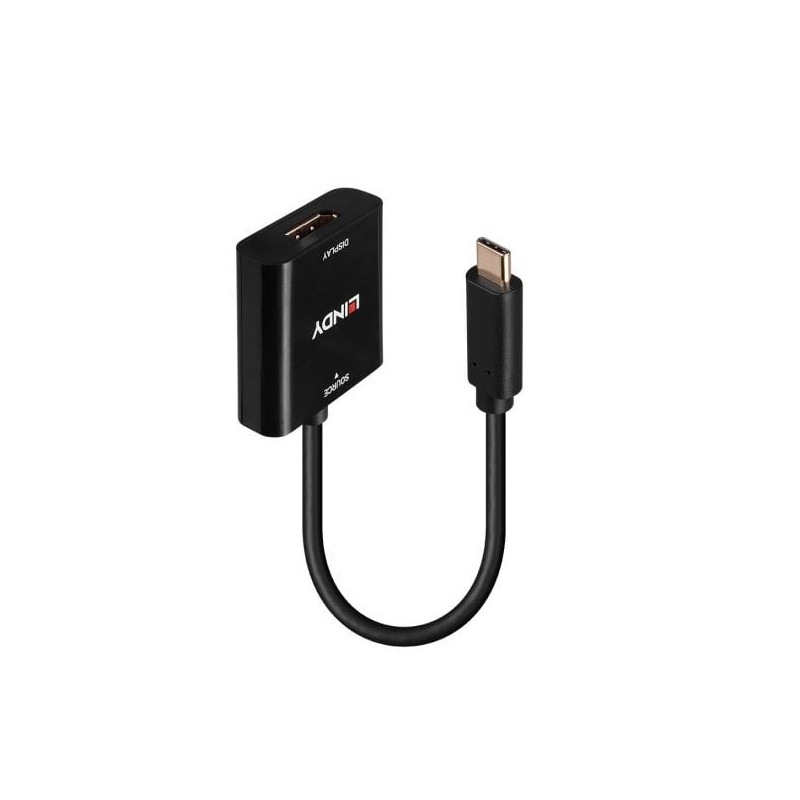 USB Type C to DisplayPort 4K144 Converter