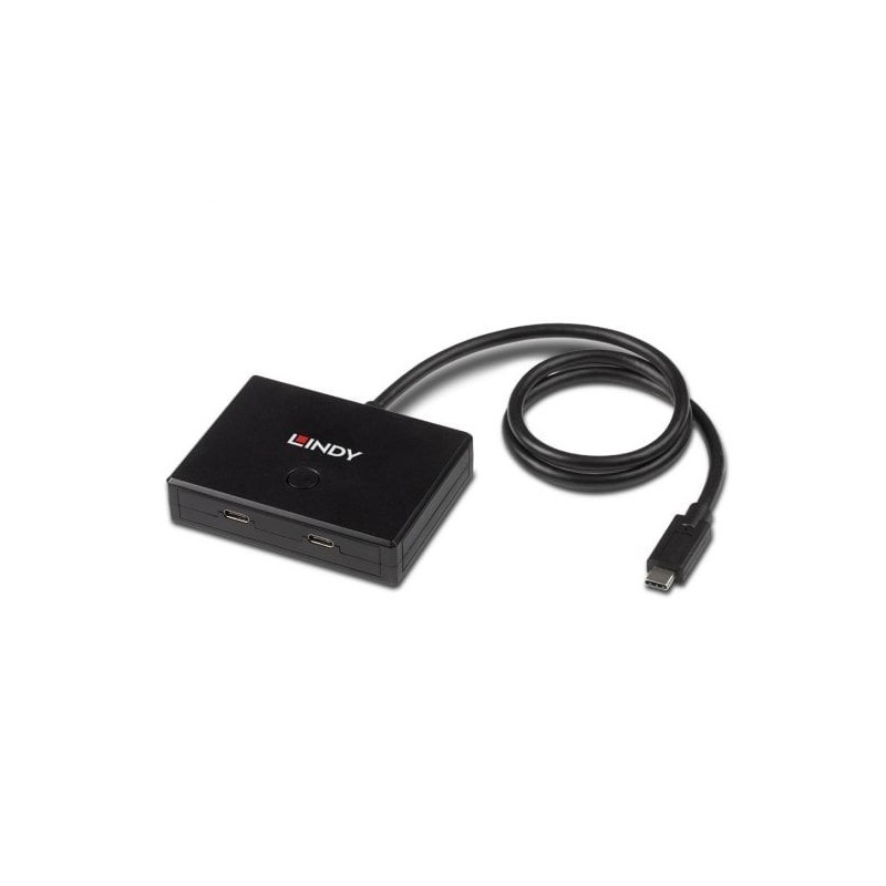 2 Port USB 3.2 Gen 2 Type C Bi-Directional Switch 2 Port USB 3.2 Gen 2 Type C Bi-Directional Switch