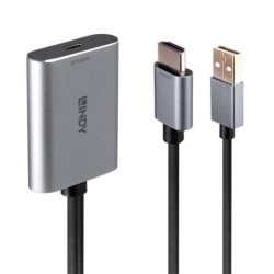 HDMI to USB Type C Converter with USB Power