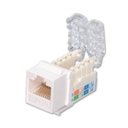Lindy Toolless CAT6 Keystone Jack