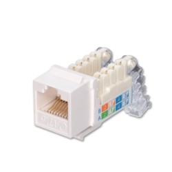 Lindy Toolless CAT6 Keystone Jack