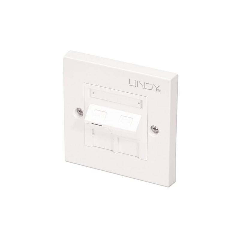 CAT5e Single Wall Plate with 1 x Angled RJ-45 Shuttered Socket, Unshielded CAT5e Single Wall Plate with 1 x Angled RJ-45 Shuttered Socket, Unshielded