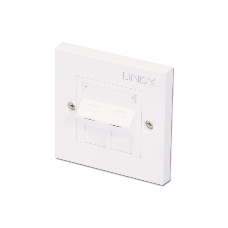 CAT5e Single Wall Plate with 2 x Angled RJ-45 Shuttered Socket, Unshielded CAT5e Single Wall Plate with 2 x Angled RJ-45 Shuttered Socket, Unshielded
