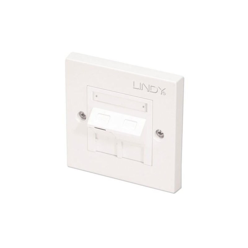 CAT6 Single Wall Plate with 1 x Angled RJ-45 Shuttered Socket, Unshielded CAT6 Single Wall Plate with 1 x Angled RJ-45 Shuttered Socket, Unshielded