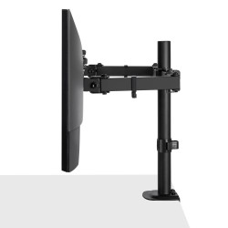 Lindy Dual Adjustable Display Mount