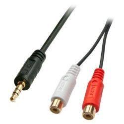0.25m AV Adapter Cable - 3.5mm Male to 2 x RCA Female