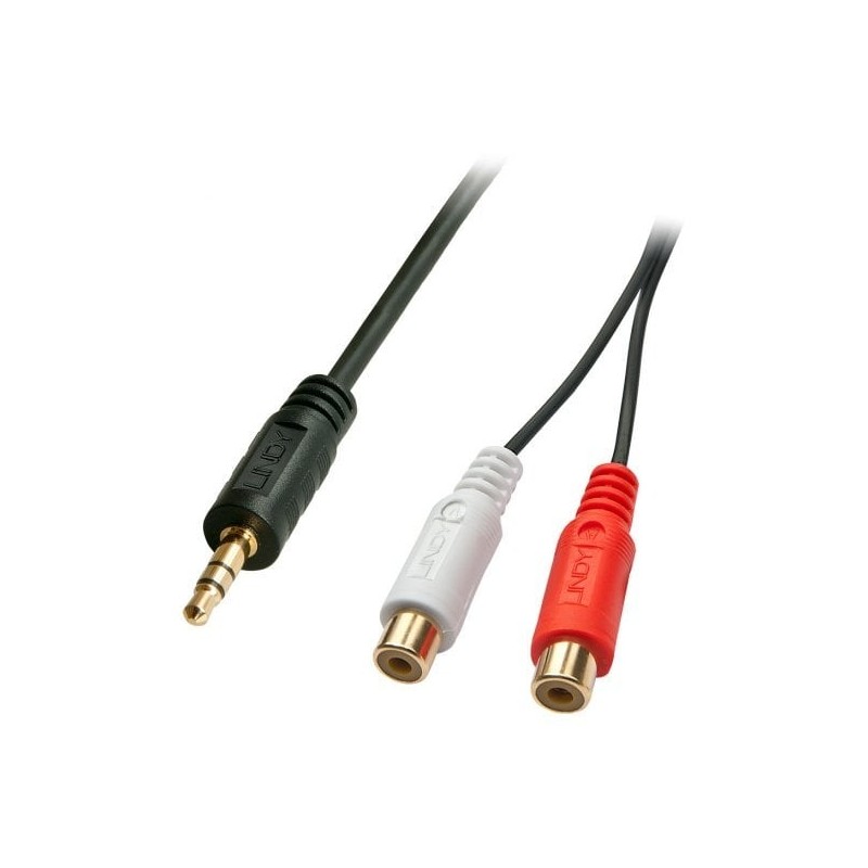 0.25m AV Adapter Cable - 3.5mm Male to 2 x RCA Female
