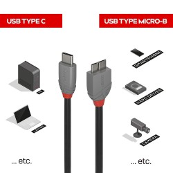 Lindy 1m USB 3.2 Type C to Micro-B Cable, Anthra Line