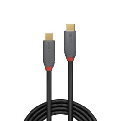Lindy 0.5m USB 3.2 Type C to C Cable, 20Gbps, 5A, PD, Anthra Line