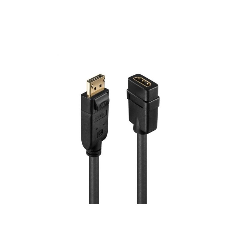 Display Port 1.2 to HDMI 1.3 Passive Converter Display Port 1.2 to HDMI 1.3 Passive Converter