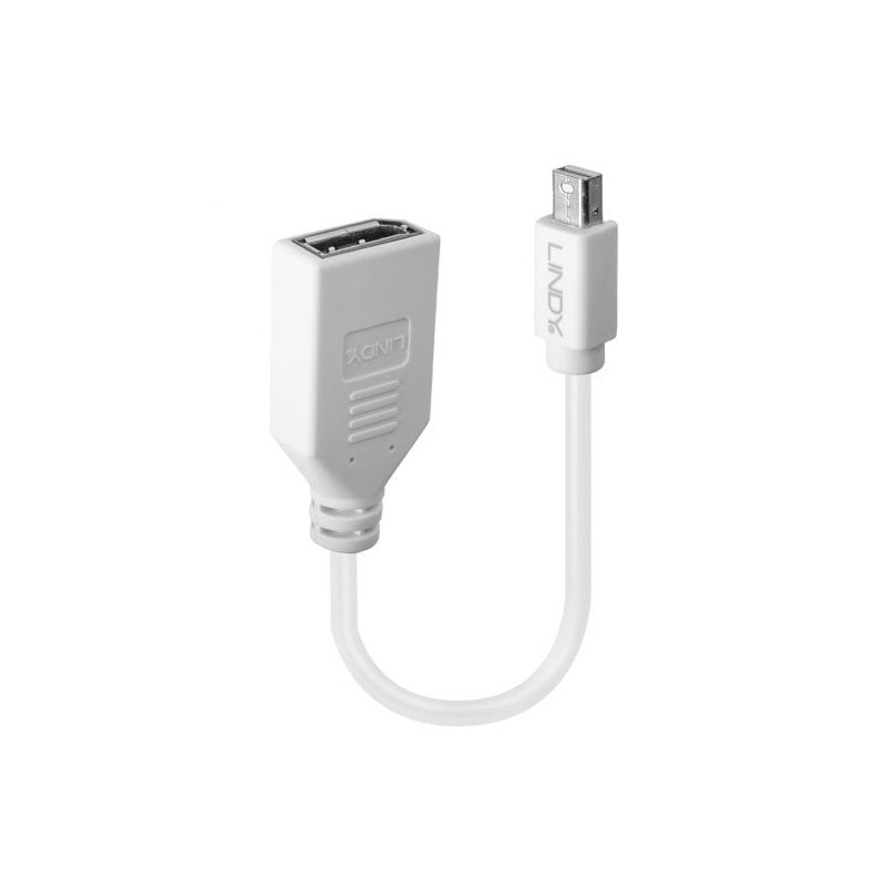 0.20m Mini DisplayPort to DisplayPort Adapter Cable