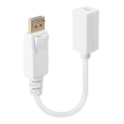 DisplayPort Male to Mini DisplayPort Female Adapter Cable