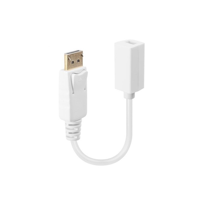 DisplayPort Male to Mini DisplayPort Female Adapter Cable