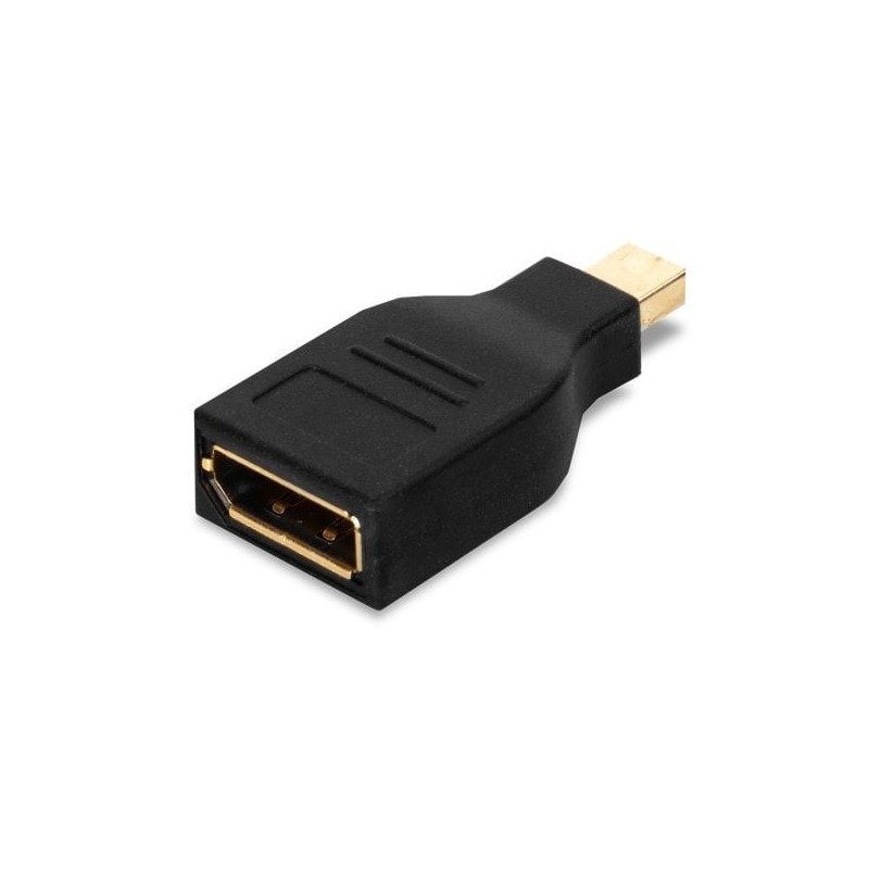 Mini DisplayPort to DisplayPort Adapter