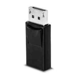 DisplayPort to Mini DisplayPort Adapter