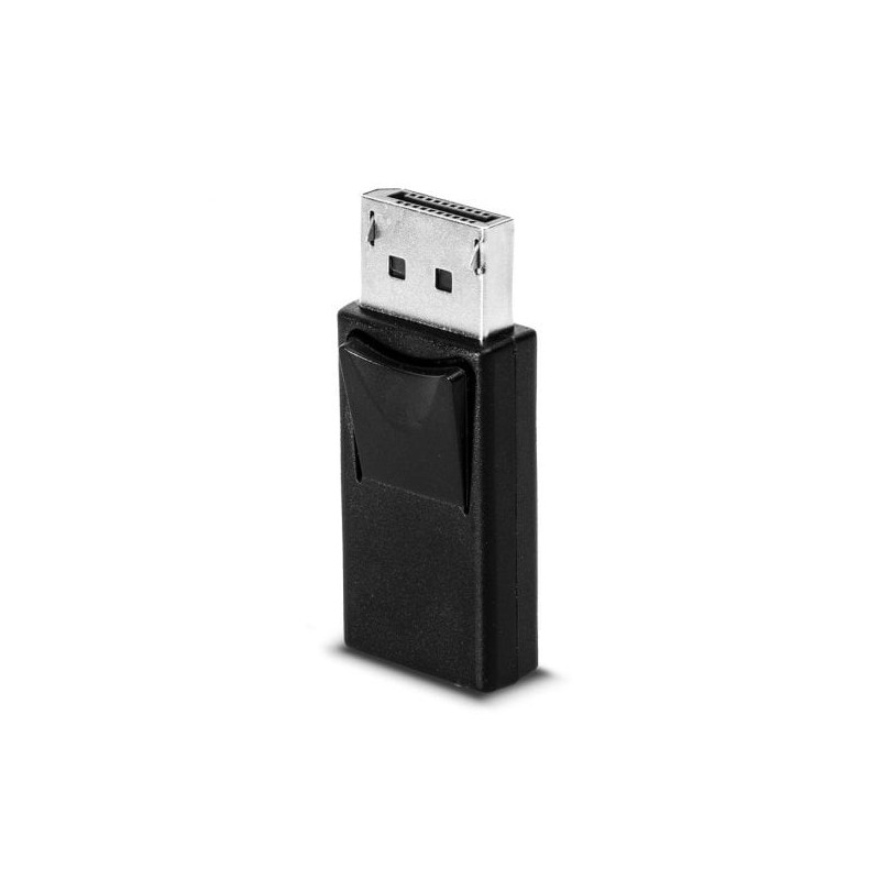 DisplayPort to Mini DisplayPort Adapter