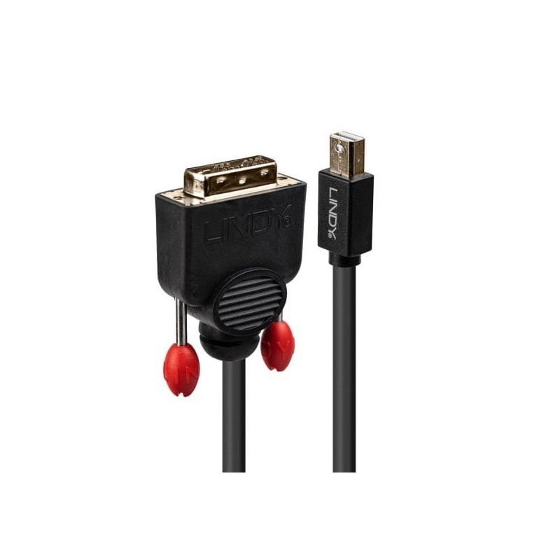 2m Mini Display Port to DVI Adapter Cable 2m Mini Display Port to DVI Adapter Cable