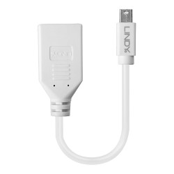 Lindy 0.20m Mini DisplayPort to DisplayPort Adapter Cable