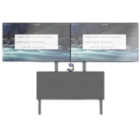AV Furniture & Mounts
