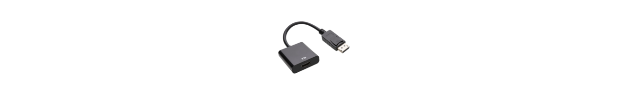 DisplayPort Converters