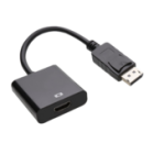 DisplayPort Converters