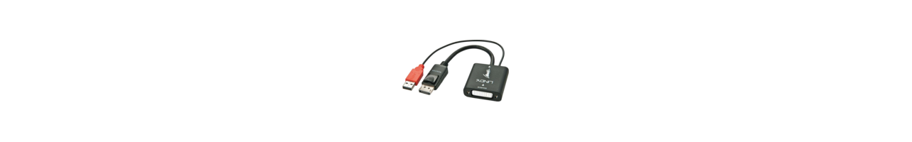 DVI Converters